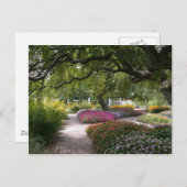 Portsmouth Garden Briefkaart (Voorkant / Achterkant)