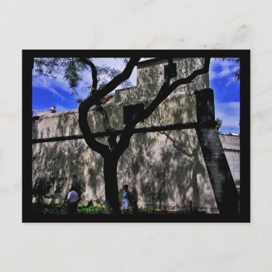 Portugal Funchal, Briefkaart Madeira (Voorkant)