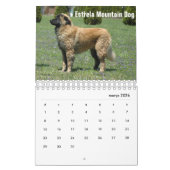 Portugal Kalender (Mar 2026)