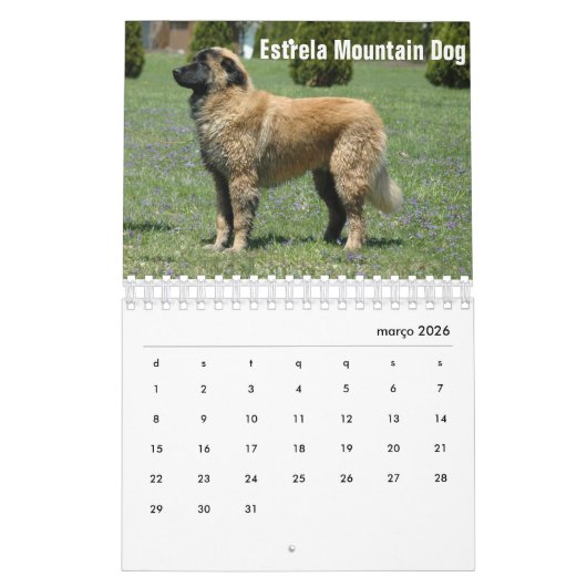 Portugal Kalender (Mar 2026)