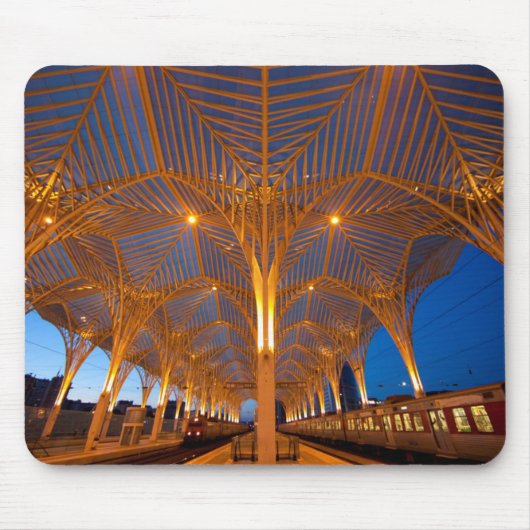 Portugal, Lissabon. Uitzicht van het moderne stati Muismat (Voorkant)