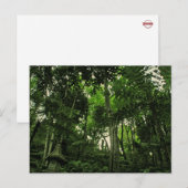 Portugal Madeira: Canopy of Lushness Briefkaart (Voorkant / Achterkant)