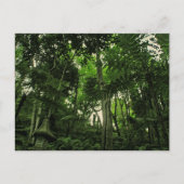 Portugal Madeira: Canopy of Lushness Briefkaart (Voorkant)