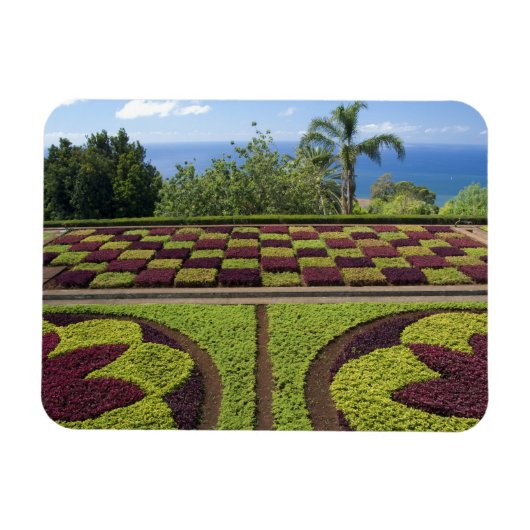 Portugal, Madeira eiland, Funchal. Botanisch Magneet (Horizontaal)