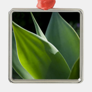 Portugal, Madeira eiland, Funchal. Botanisch Metalen Ornament