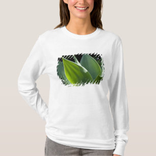 Portugal, Madeira eiland, Funchal. Botanisch T-shirt