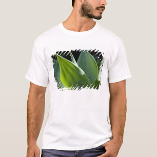 Portugal, Madeira eiland, Funchal. Botanisch T-shirt