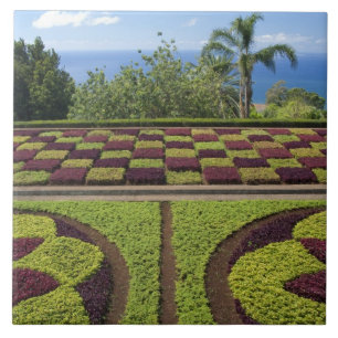 Portugal, Madeira eiland, Funchal. Botanisch Tegeltje