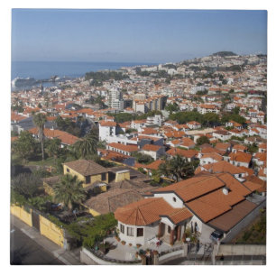 Portugal, Madeira eiland, Funchal. Kabelbaan Tegeltje