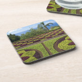 Portugal, Madeira, Funchal. Botanisch Bier Onderzetter (Linkerzijde)