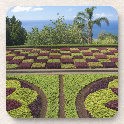 Portugal, Madeira, Funchal. Botanisch Bier Onderzetter (Voorkant)