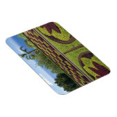 Portugal, Madeira, Funchal. Botanisch Magneet (Rechterzijde)