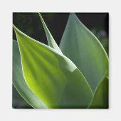 Portugal, Madeira, Funchal. Botanisch Magneet (Voorkant)