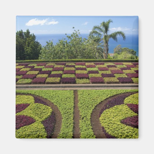 Portugal, Madeira, Funchal. Botanisch Magneet (Voorkant)