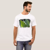 Portugal, Madeira, Funchal. Botanisch T-shirt (Voorkant volledig)