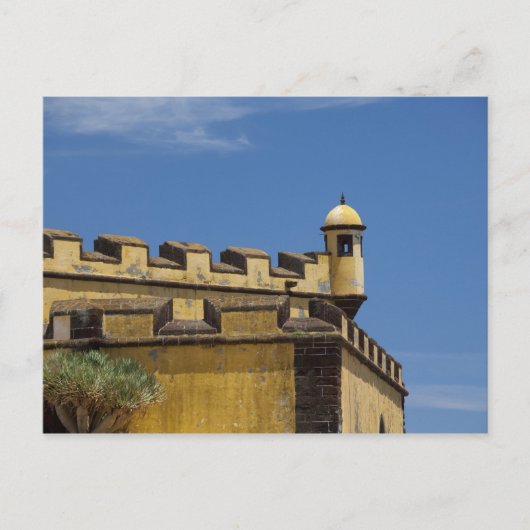 Portugal, Madeira, Funchal. Historisch Briefkaart (Voorkant)