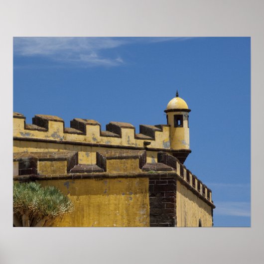 Portugal, Madeira, Funchal. Historisch Poster (Voorkant)