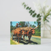  Portugal, Minho, bulkwagens op het werk Briefkaart (Staand voorkant)