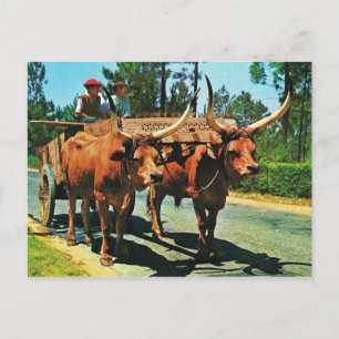  Portugal, Minho, bulkwagens op het werk Briefkaart