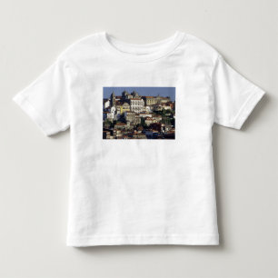Portugal, Oporto (Porto). Historische huizen en Kinder Shirts