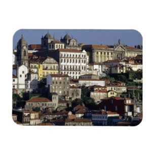 Portugal, Oporto (Porto). Historische huizen en Magneet
