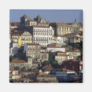 Portugal, Oporto (Porto). Historische huizen en Magneet