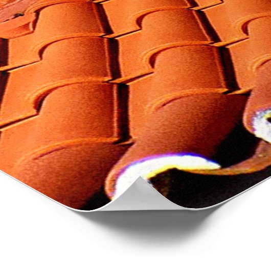 (PORTUGAL) Terracotta Rooftops Poster (Hoek)