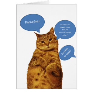 Portugees: Aniversario - Gato