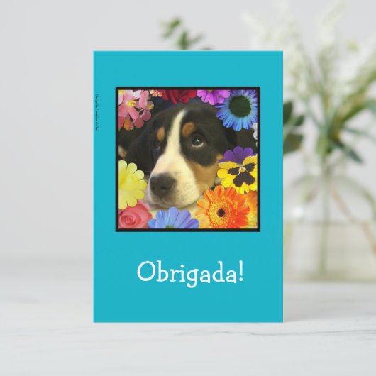 Portugees: Dank je kaart / Obrigada! (Staand voorkant)