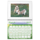 Portugees kalender Podengo Pequeno (Mar 2027)