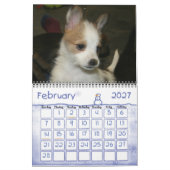 Portugees kalender Podengo Pequeno (Feb 2027)