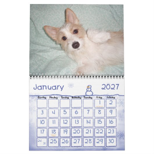 Portugees kalender Podengo Pequeno (Jan 2027)