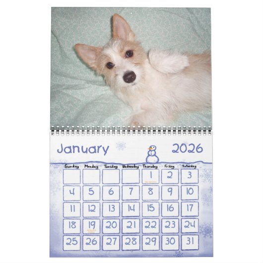 Portugees kalender Podengo Pequeno (Jan 2026)