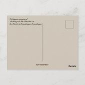 Portugees kanonneneiland van Mozambique Briefkaart (Achterkant)