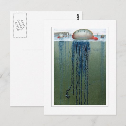 Portugees Man-o-oorlog Briefkaart (Voorkant / Achterkant)