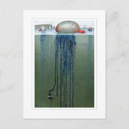 Portugees Man-o-oorlog Briefkaart (Voorkant)