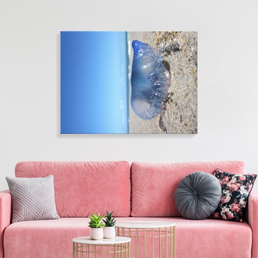Portugees Man O' War Canvas Afdruk (Insitu (Woonkamer))