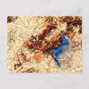 Portugees Man van Oorlog #2 Briefkaart