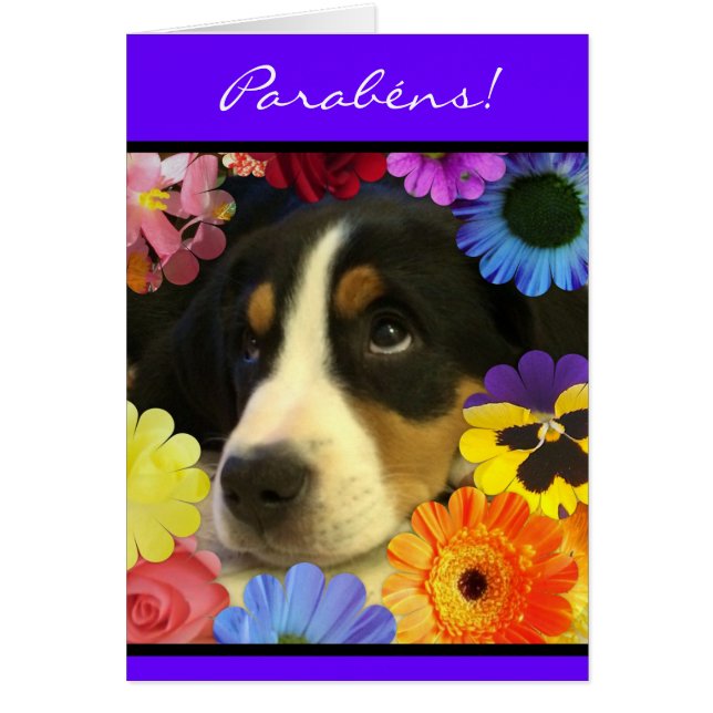 Portugees: Parabens cachorrinho (Voorkant)