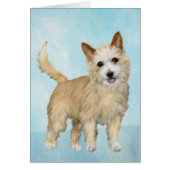 Portugees Podengo Pequeno schilderen - Oorspronkel (Voorkant)