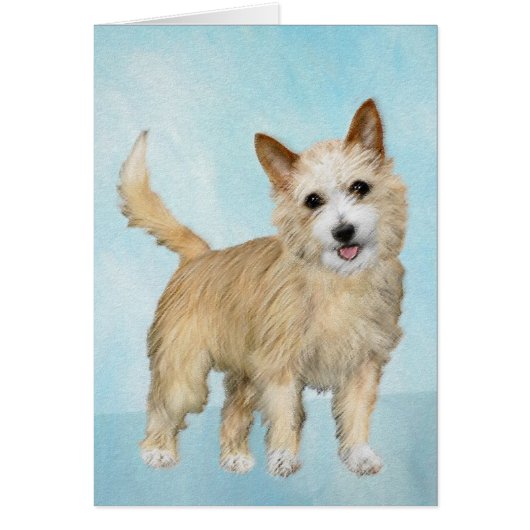 Portugees Podengo Pequeno schilderen - Oorspronkel (Voorkant)