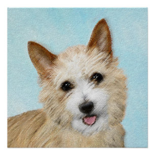 Portugees Podengo Pequeno schilderen - Oorspronkel Perfect Poster