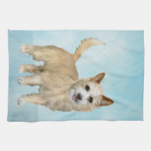 Portugees Podengo Pequeno schilderen - Oorspronkel Theedoek (Horizontaal)