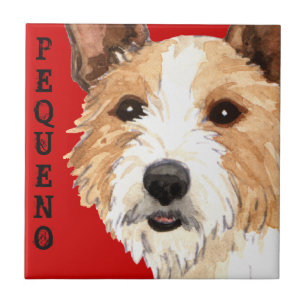 Portugees Podengo Pequeno Tegeltje