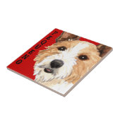 Portugees Podengo Pequeno Tegeltje (Zijkant)