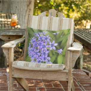 Portugees Squill Flowers Closeup Natuur Foto Buitenkussen