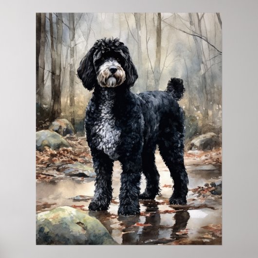Portugees Water Dog Art Print Poster (Voorkant)