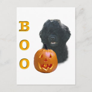 Portugees water Dog Boo Briefkaart