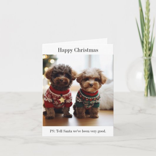 Portugees Water Dog Puppies Happy Christmas Kaart (Voorkant)