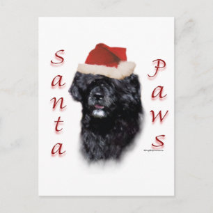 Portugees Water Hond Santa Paws Feestdagenkaart